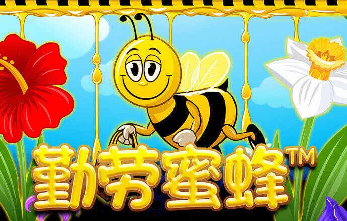 火博体育app下载官网